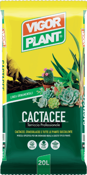 Pamant pentru cactus