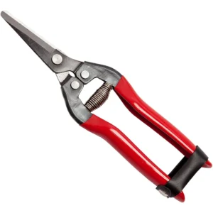 Foarfecă pentru recoltarea citricelor Cogliagrumi 19 cm