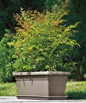 Jardiniera AKEA