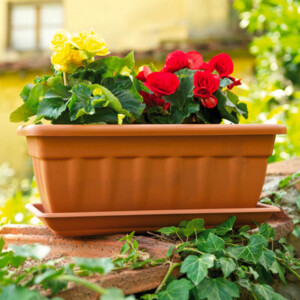 Jardiniera CASSIOPEA
