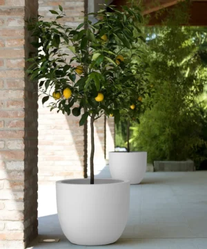 Ghiveci ETRIA 30 L