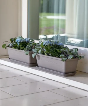 Jardiniera INIS