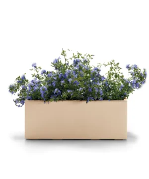 Jardiniera KEBE